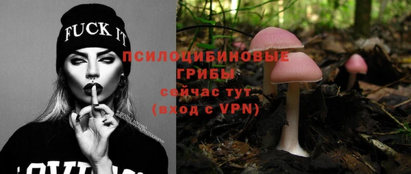 дживик Алексин