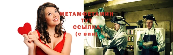 прущие грибы Рославль