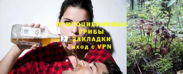 дживик Алексин